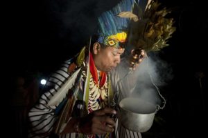 ayahuasca-yage-iowaska shaman hallucinogenic psychedelic tea