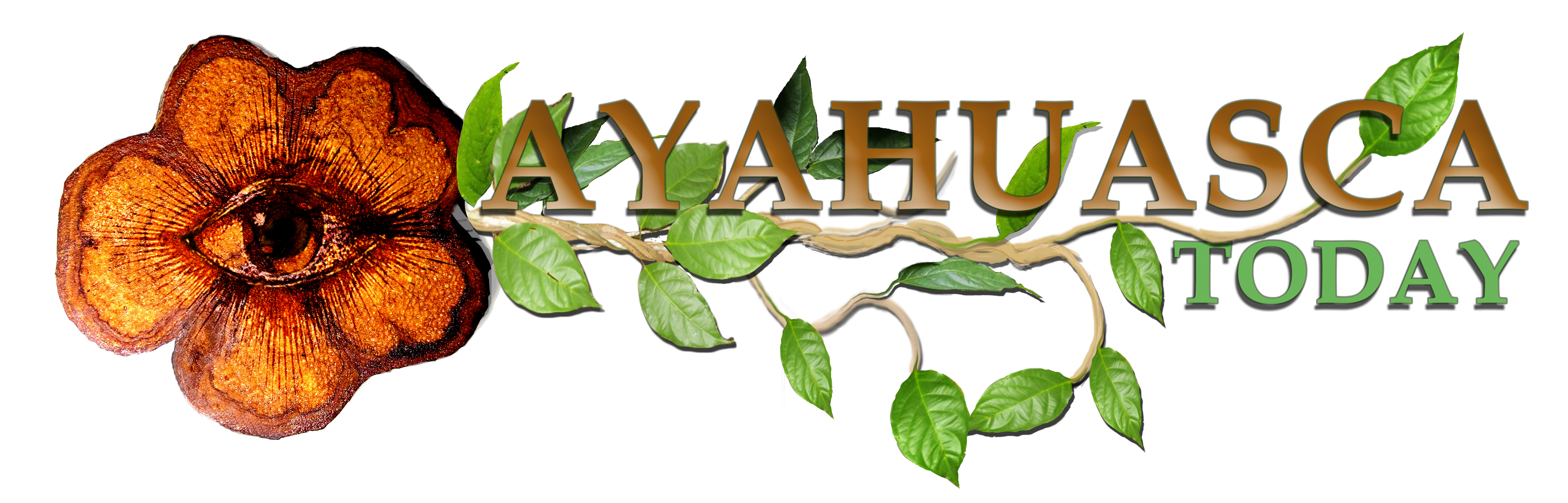 ayahuasca-today-logo-large